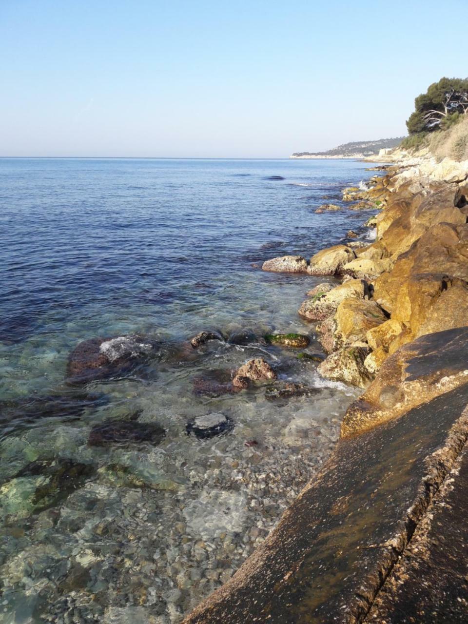 Le Mimosa Lägenhet Cassis Exteriör bild