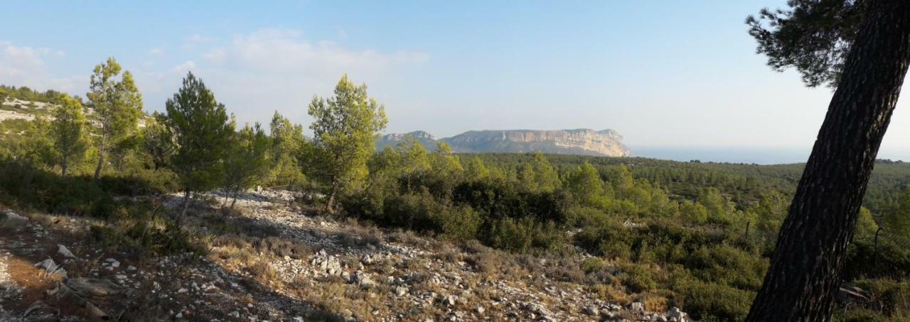 Le Mimosa Lägenhet Cassis Exteriör bild